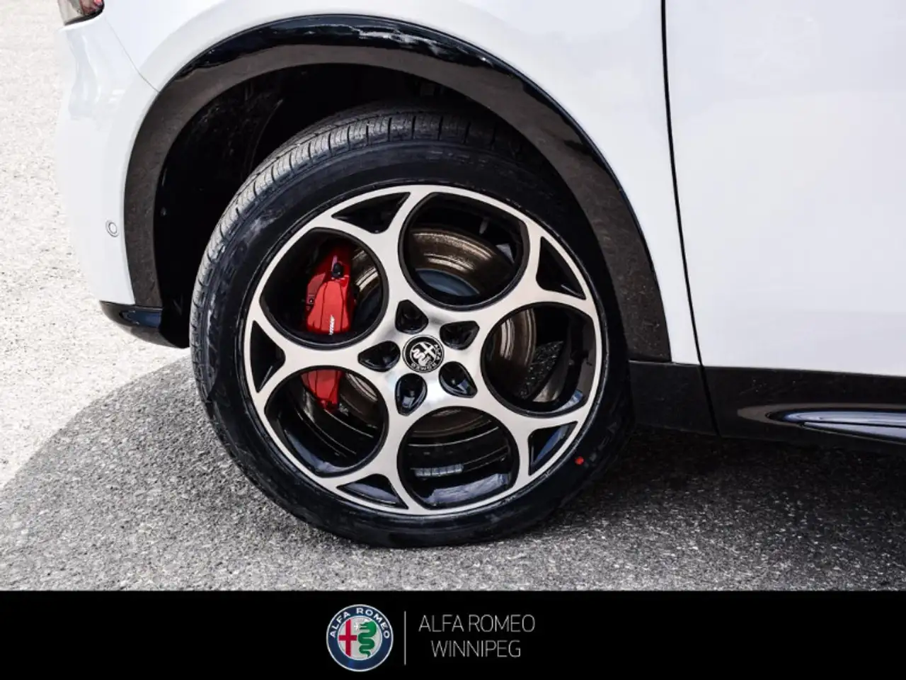 Alfa Romeo Tonale снимка Alfa Romeo Tonale