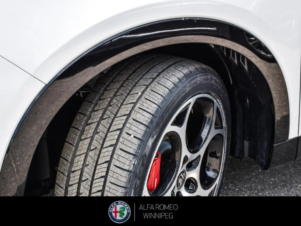 Alfa Romeo Tonale снимка Alfa Romeo Tonale