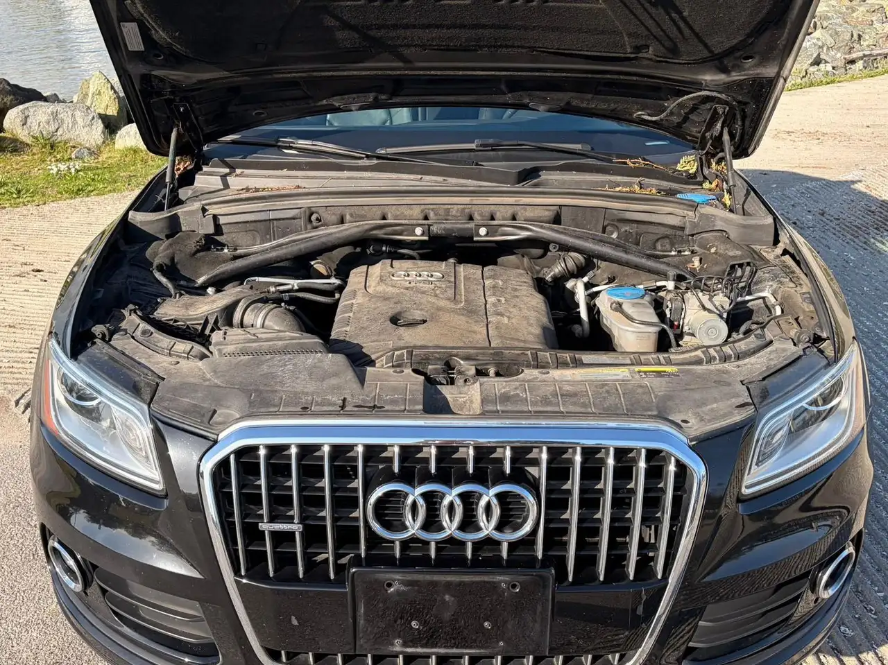Audi Q5 fotografie Audi Q5