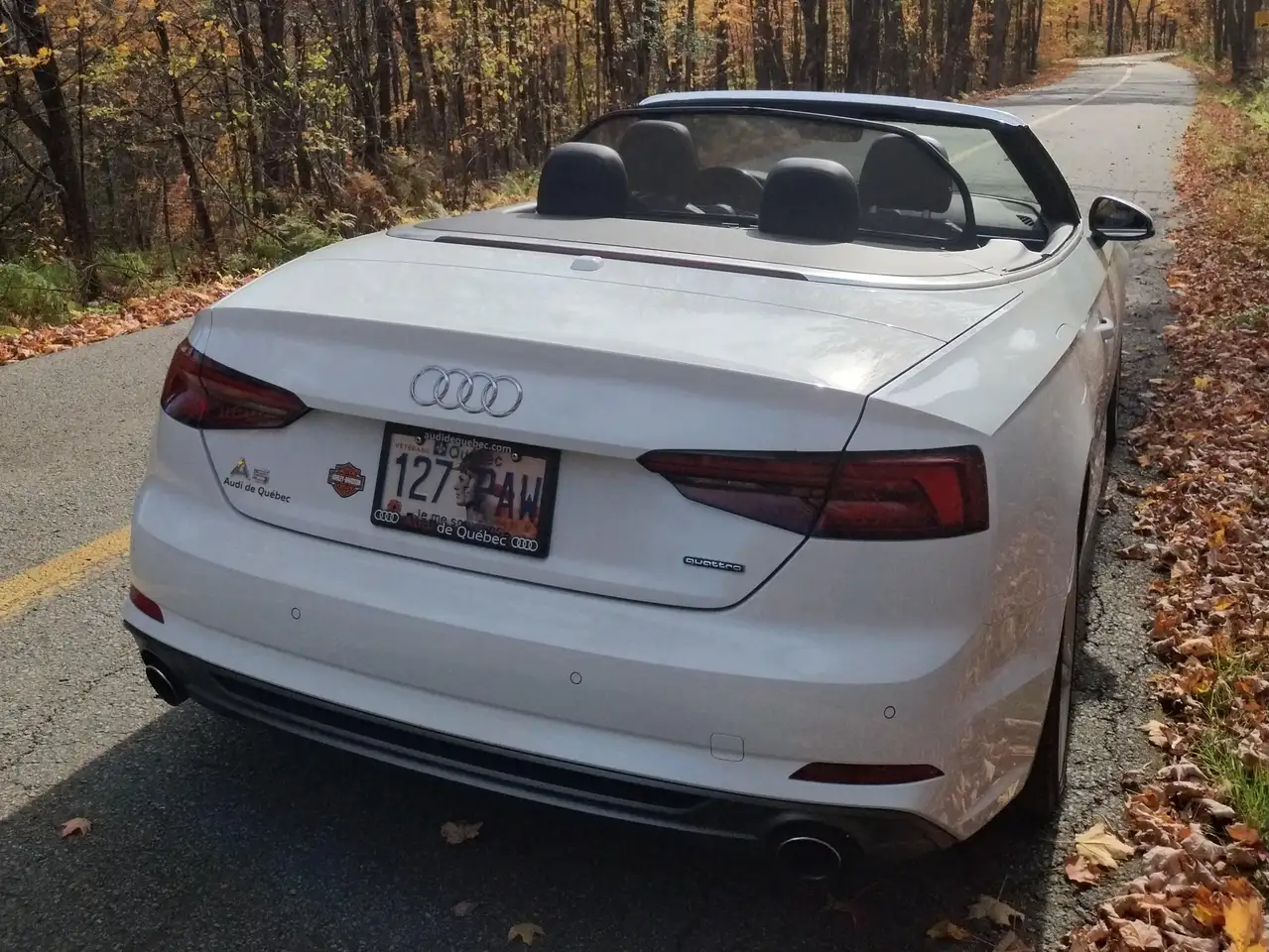 2019 Audi A5