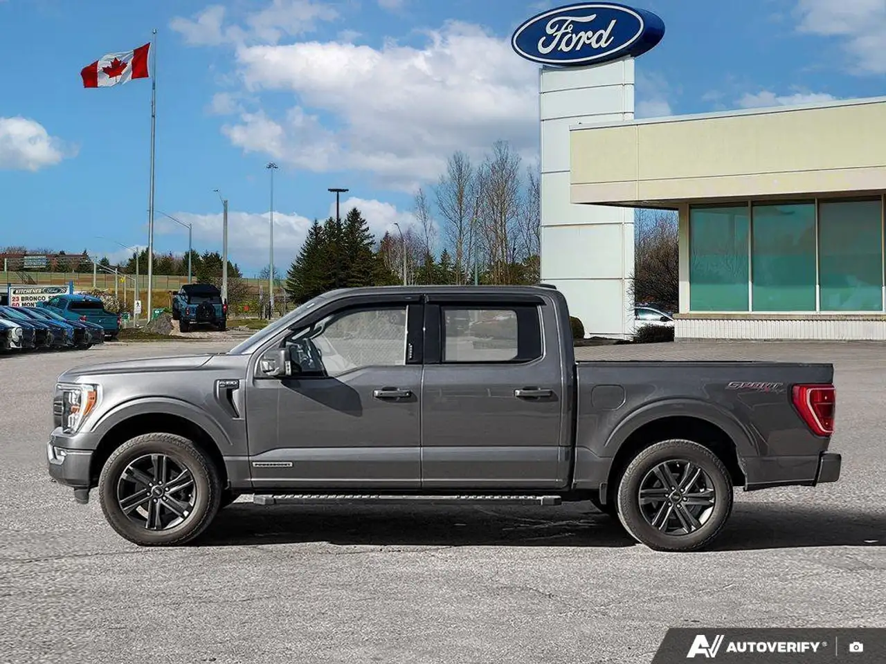 Ford F 150 fotografie Ford F 150
