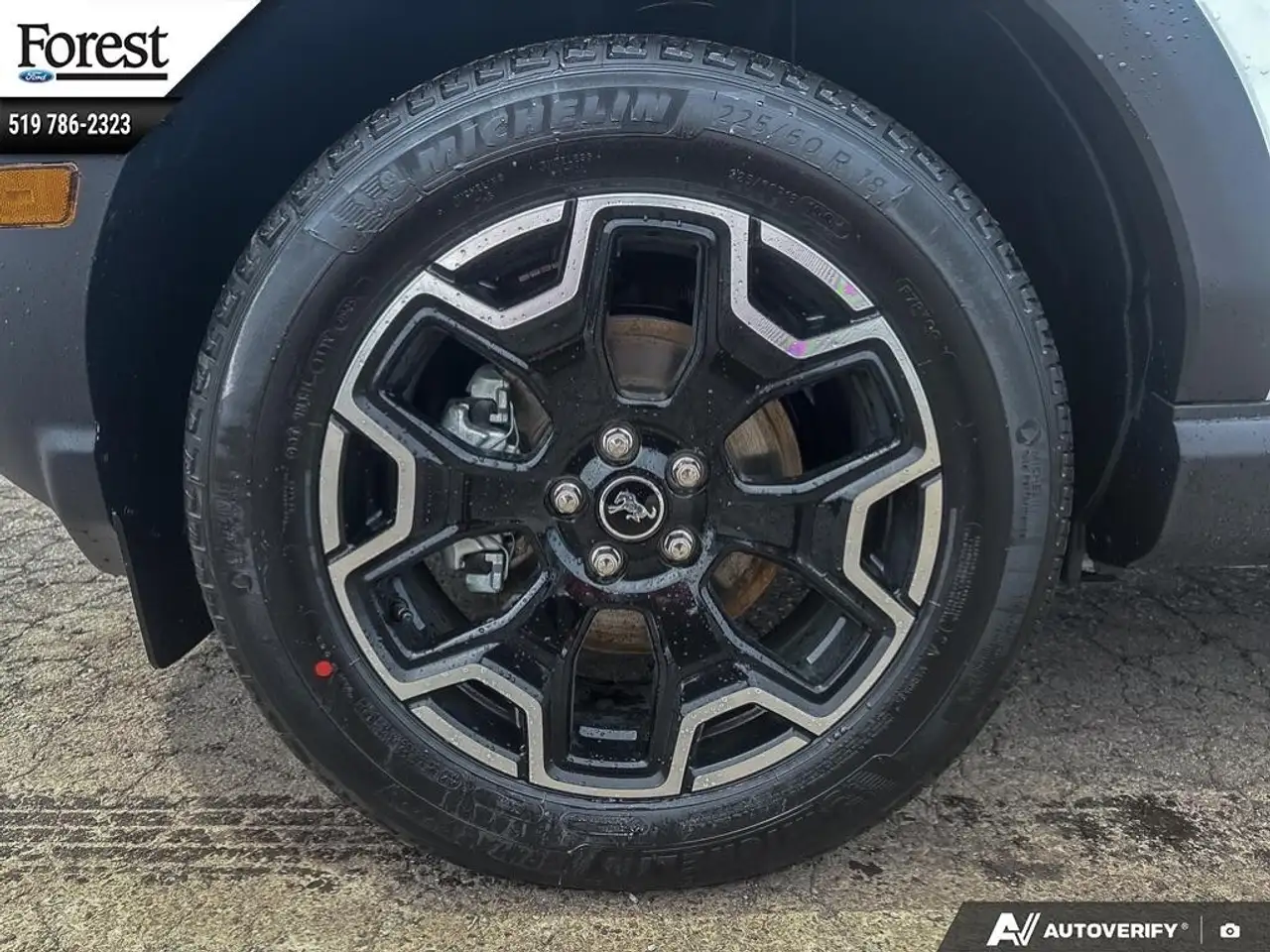 Ford Bronco Sport снимка Ford Bronco Sport