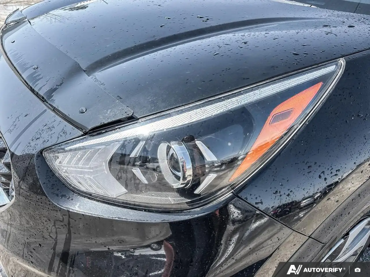 Kia Niro снимка Kia Niro