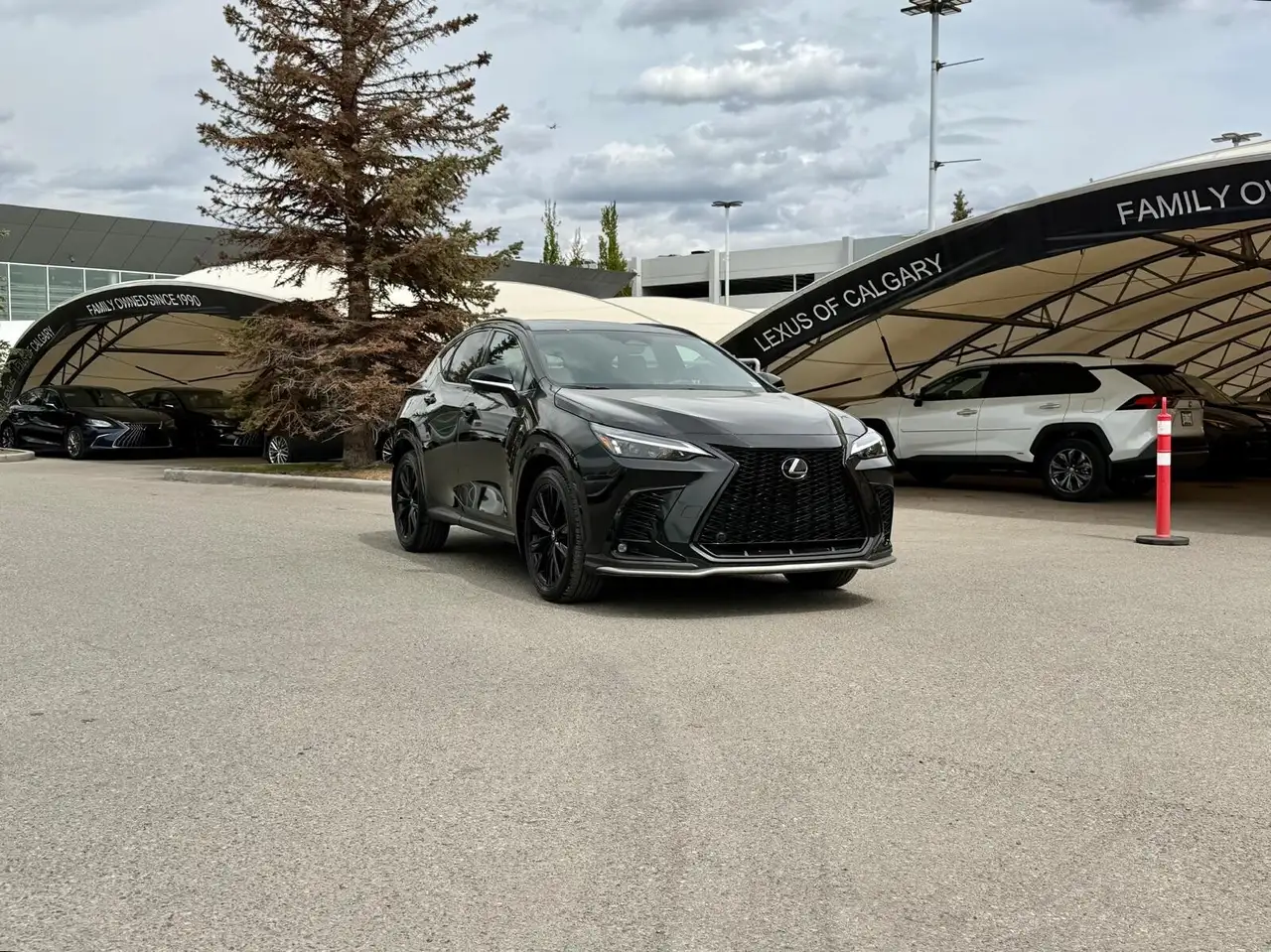 2024 Lexus NX