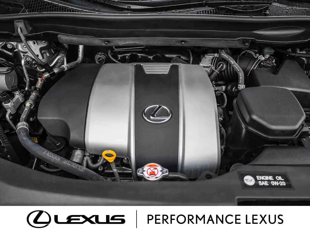 Lexus RX photo Lexus RX