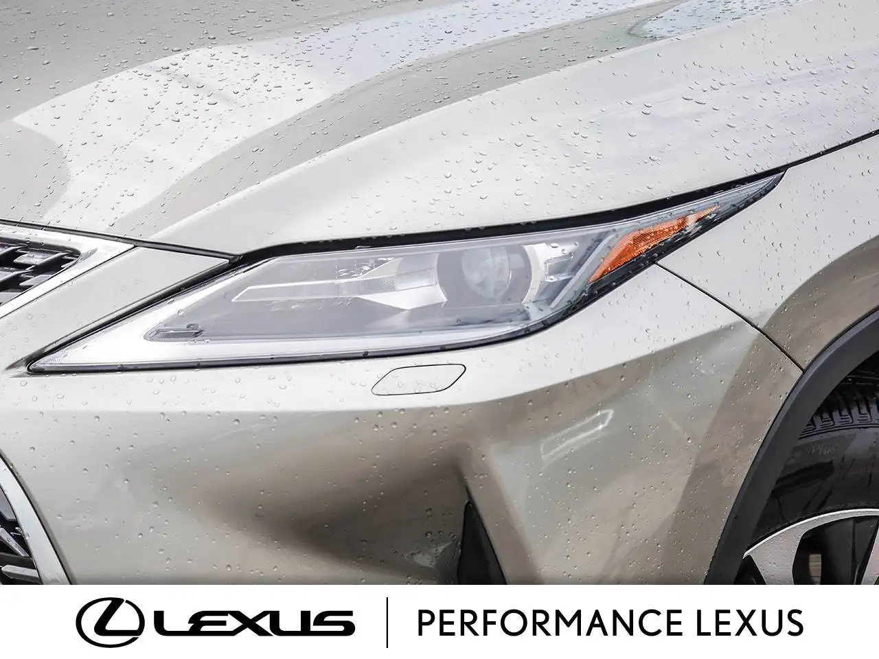 Lexus RX photo Lexus RX