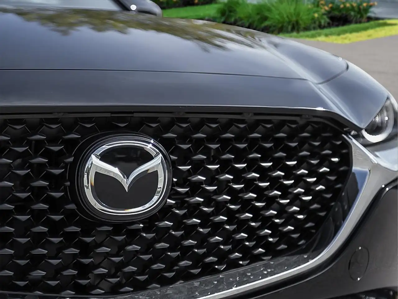 Mazda CX-30 photo Mazda CX-30