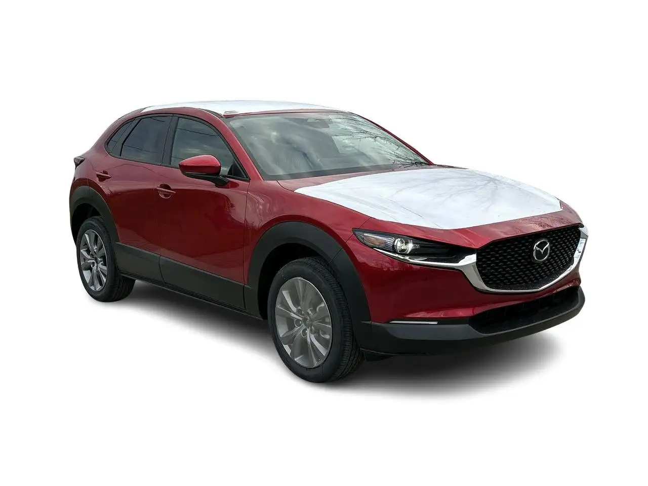 Mazda CX-30 photo Mazda CX-30