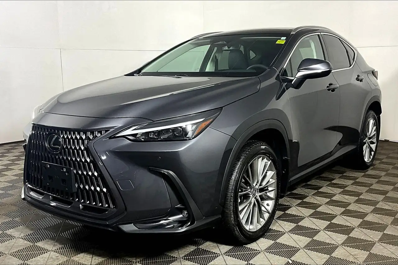 2024 Lexus NX