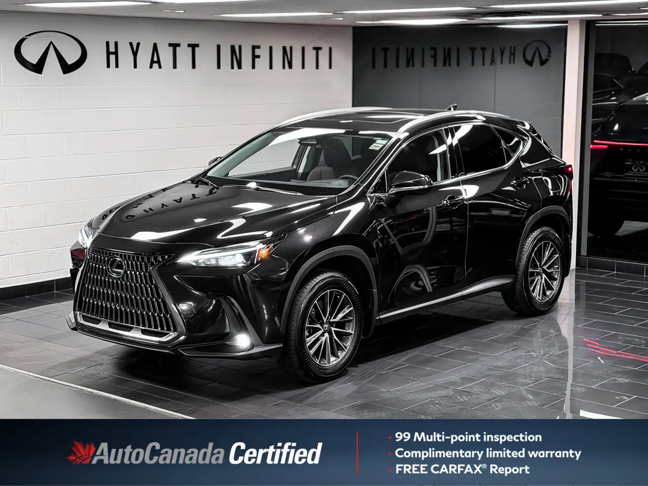 2025 Lexus NX