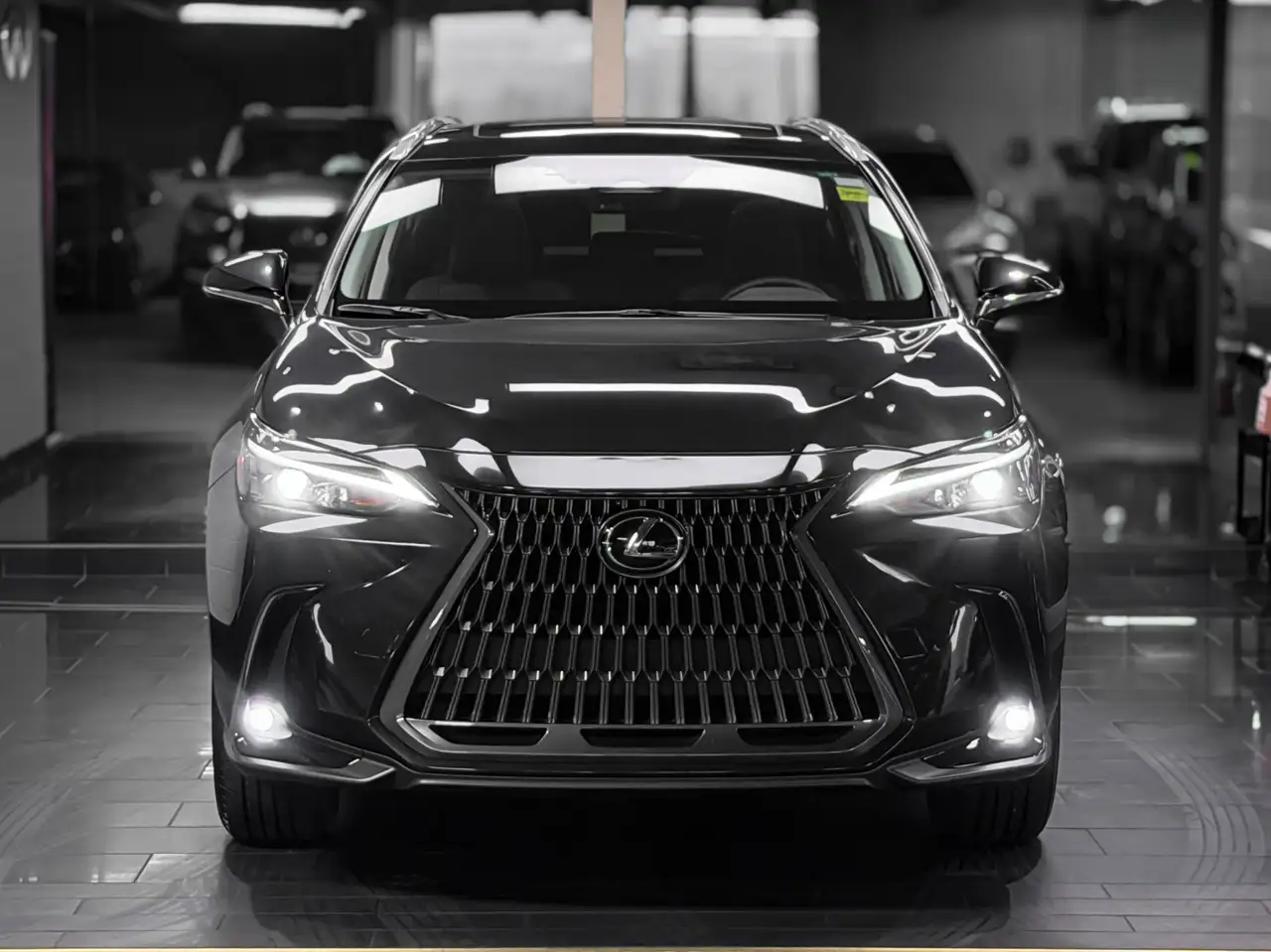 Lexus NX fotografie Lexus NX