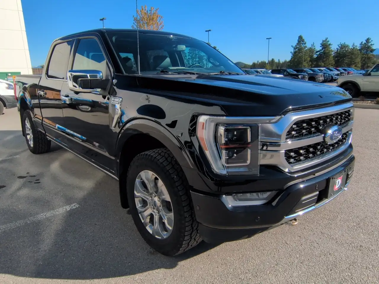 Ford F 150 fotografie Ford F 150