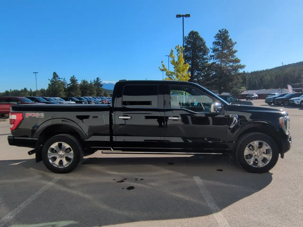 Ford F 150 fotografie Ford F 150