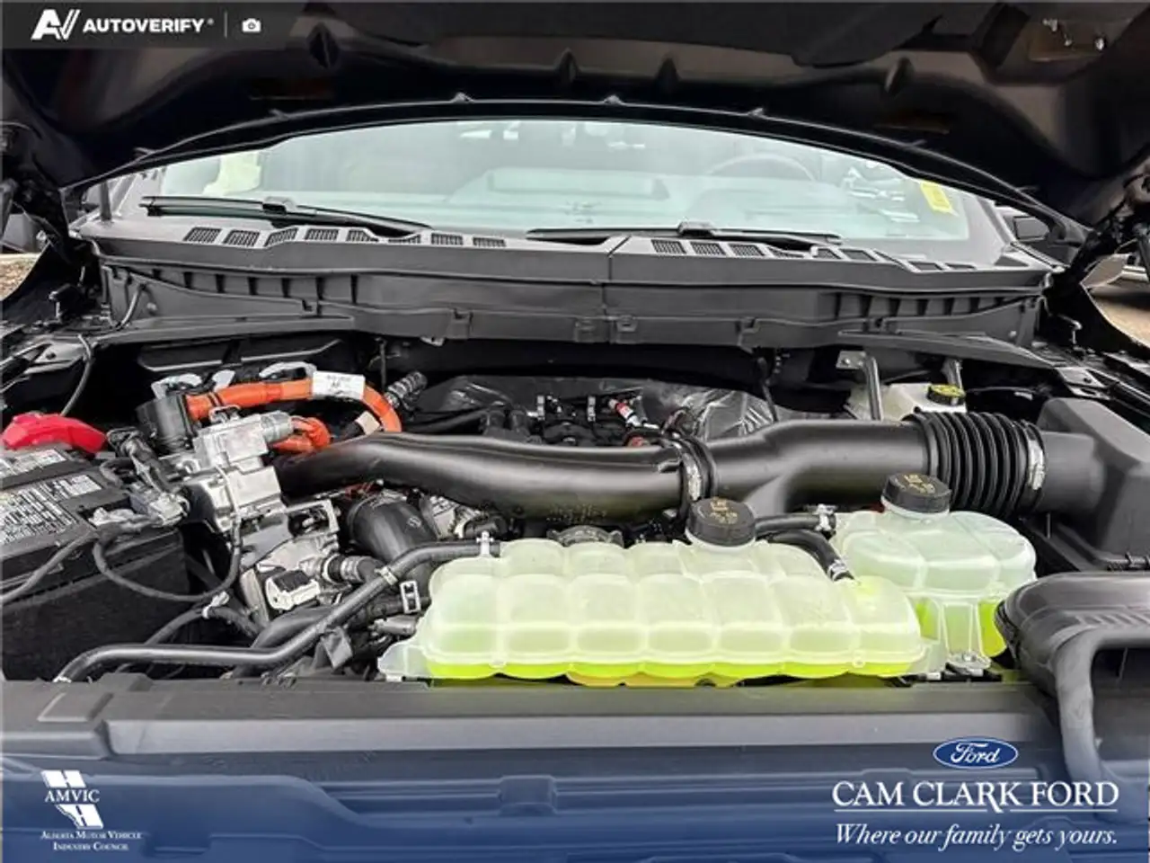 Ford F 150 photo Ford F 150