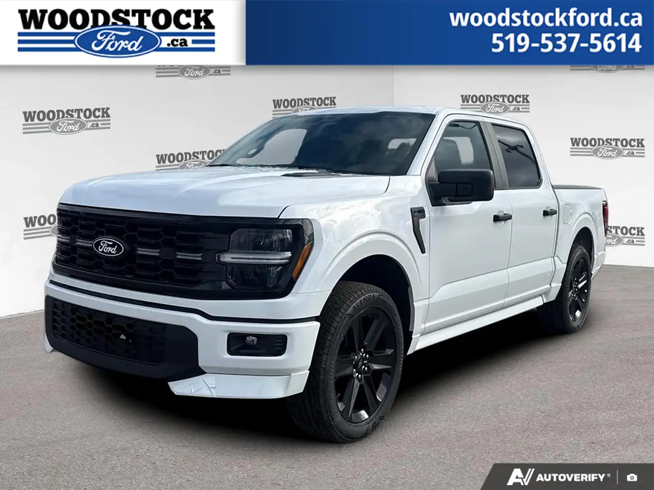 Ford F 150 fotografie Ford F 150