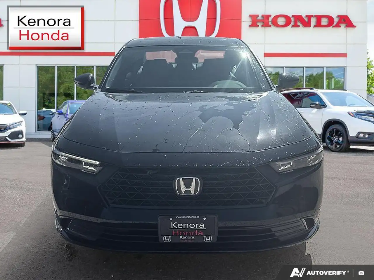 Honda Accord fotografie Honda Accord