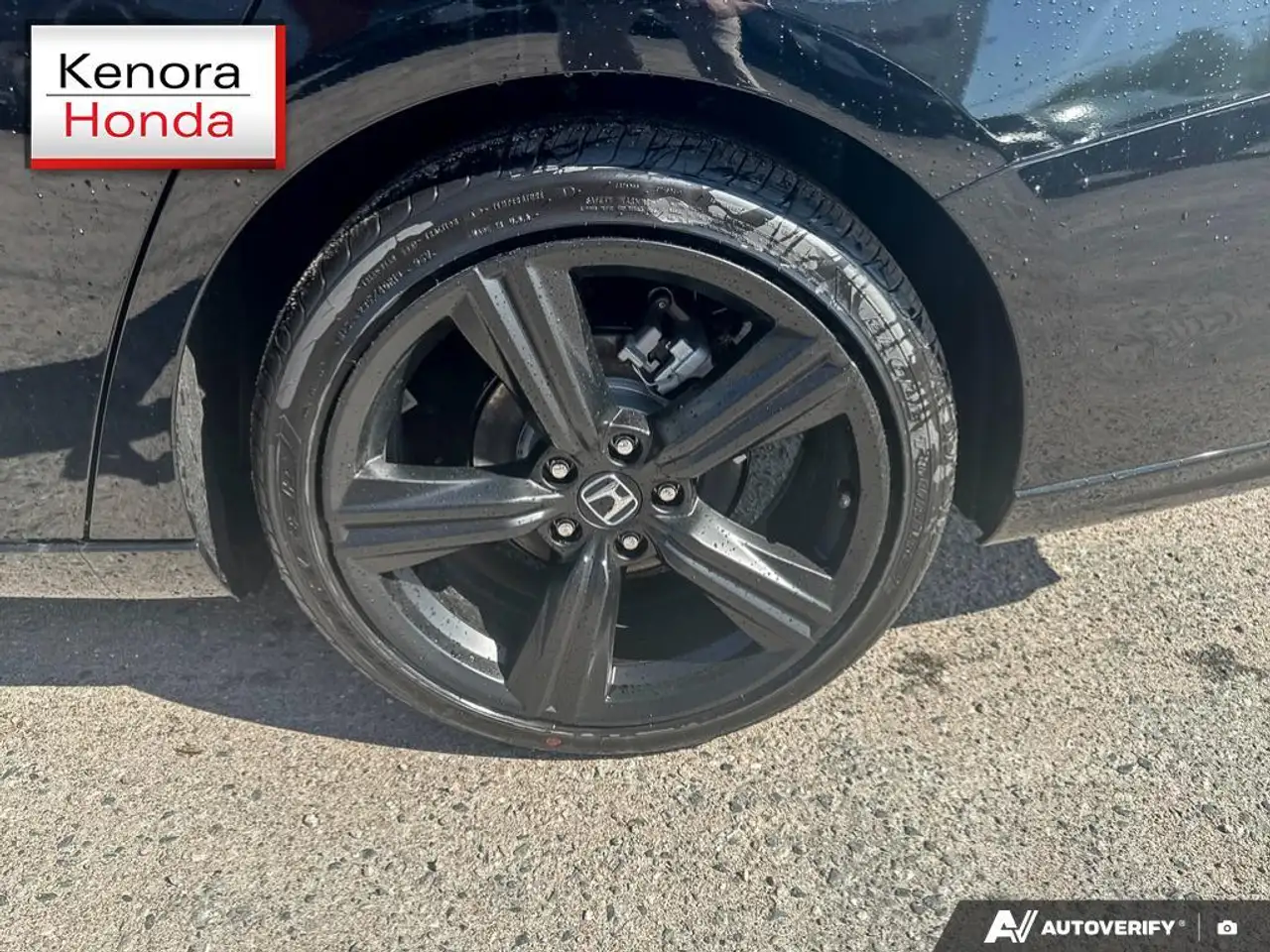 Honda Accord fotografie Honda Accord