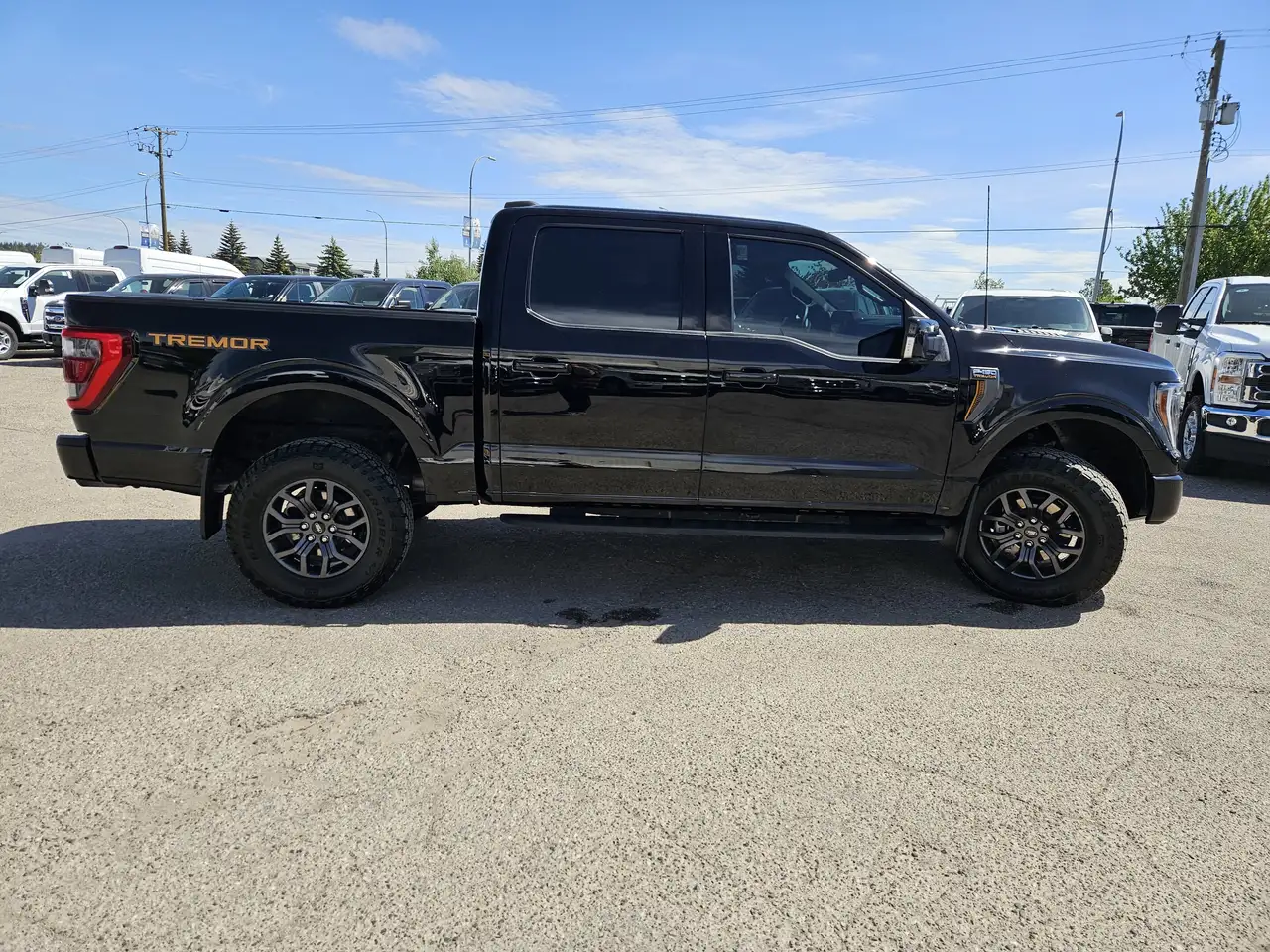 Ford F 150 photo Ford F 150