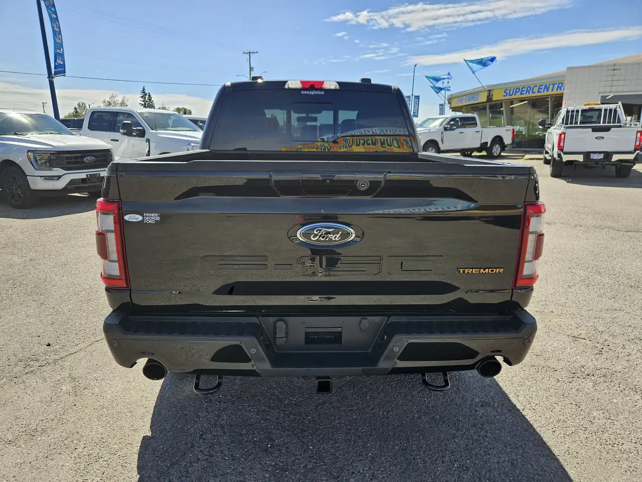 Ford F 150 photo Ford F 150
