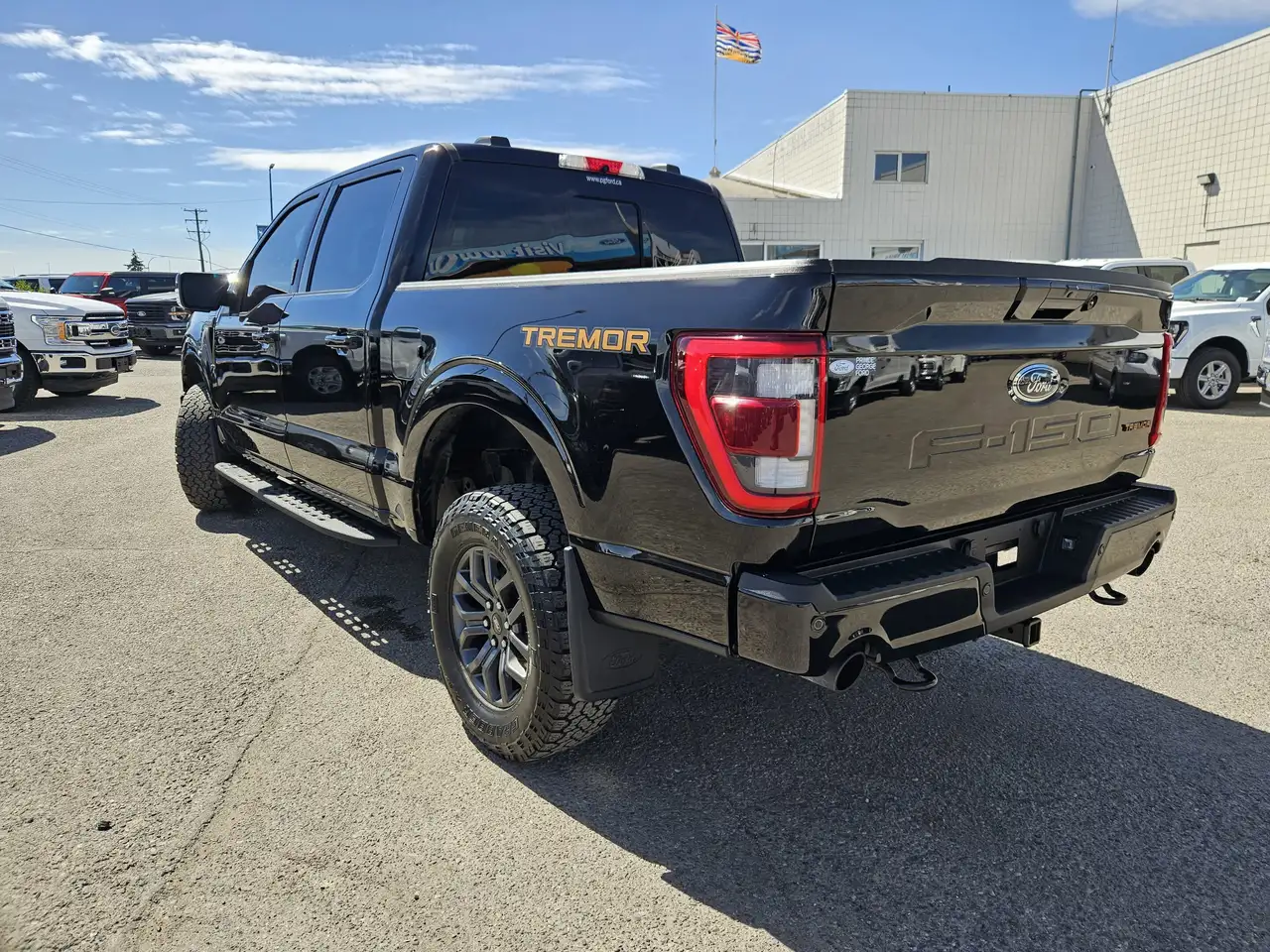 Ford F 150 photo Ford F 150