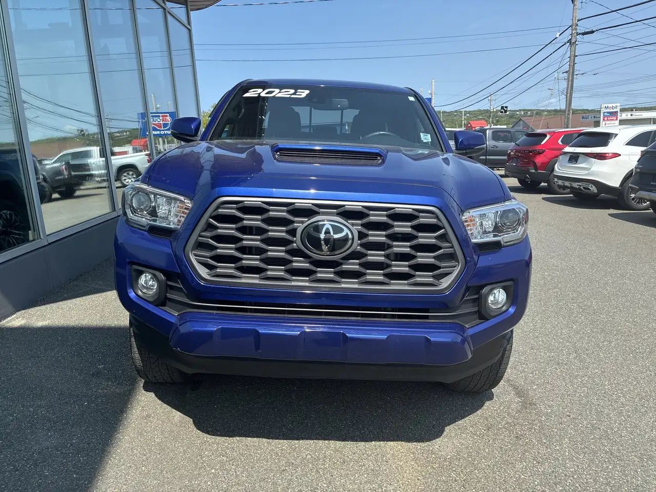 Toyota Tacoma fotografie Toyota Tacoma