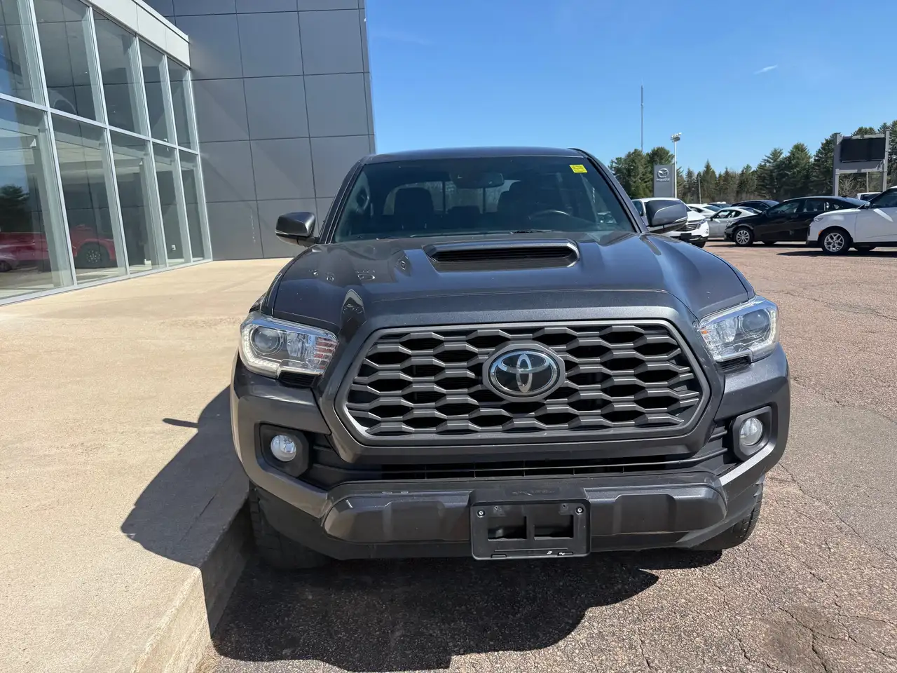 Toyota Tacoma снимка Toyota Tacoma