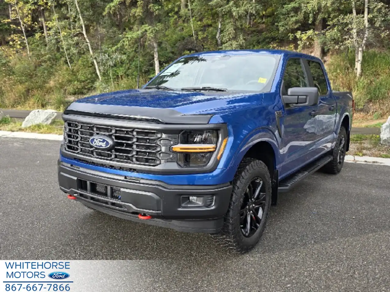 2025 Ford F 150