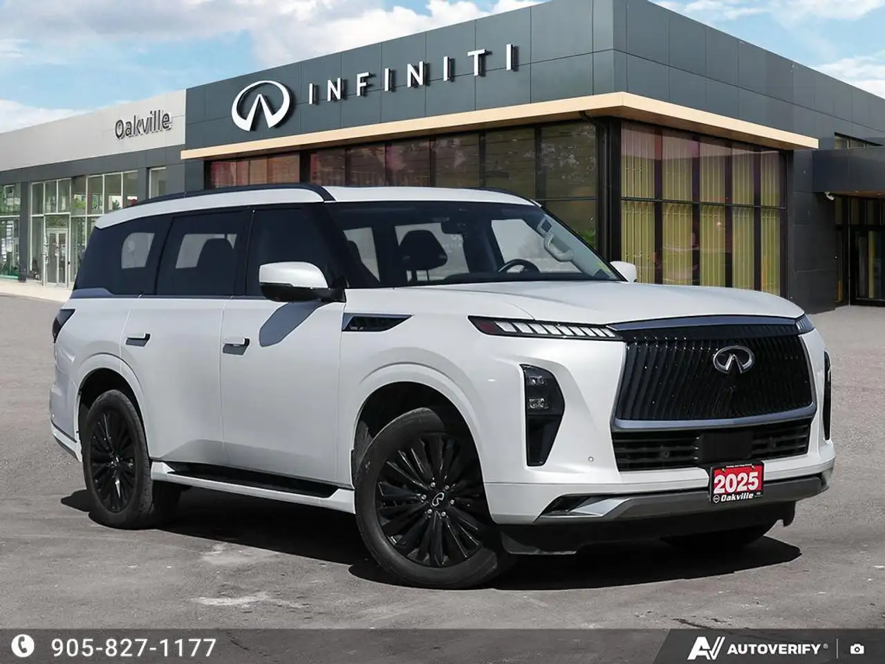 Infiniti QX80 fotografie Infiniti QX80