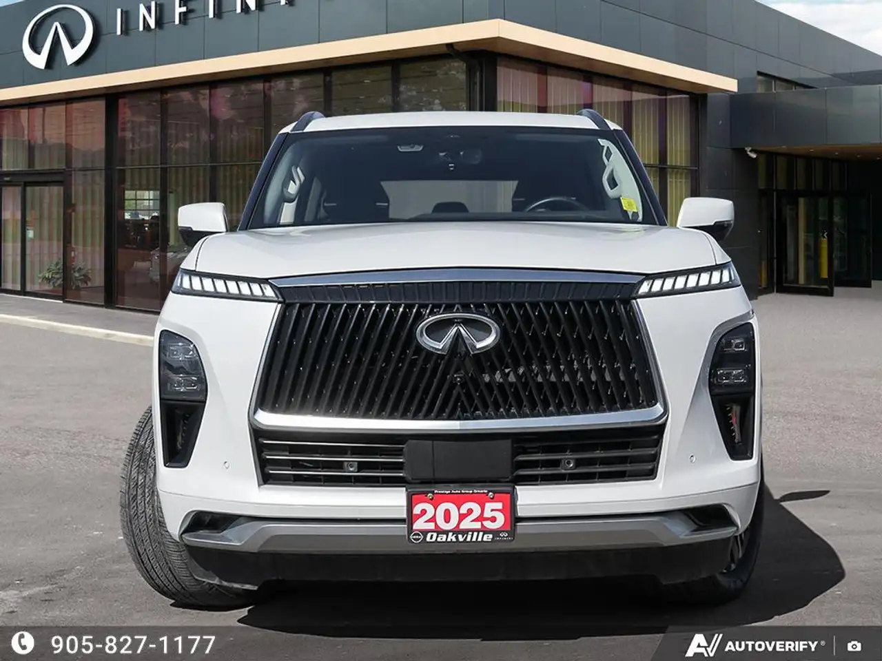 Infiniti QX80 fotografie Infiniti QX80