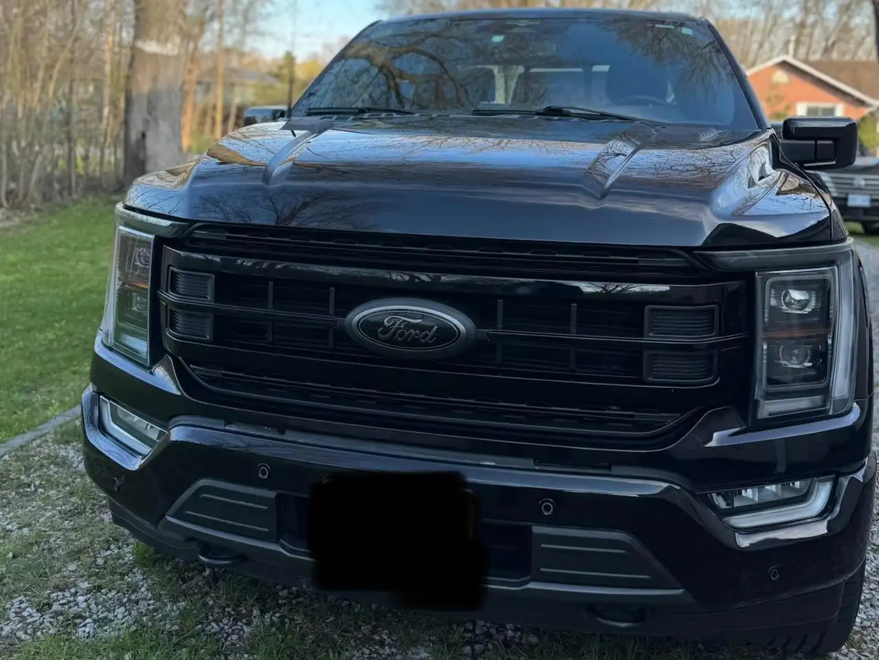 Ford F 150 снимка Ford F 150