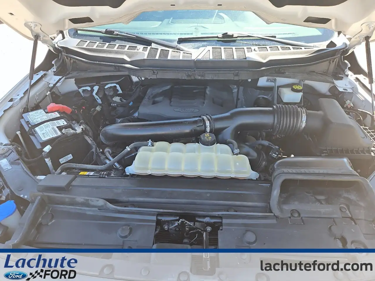 Ford F 150 photo Ford F 150