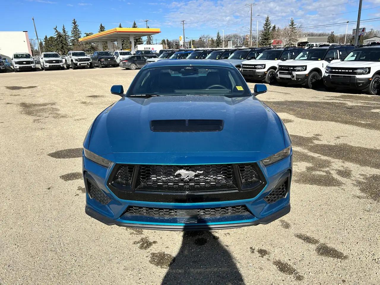 Ford Mustang снимка Ford Mustang