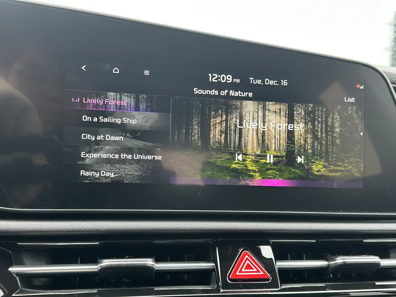 Kia Niro снимка Kia Niro