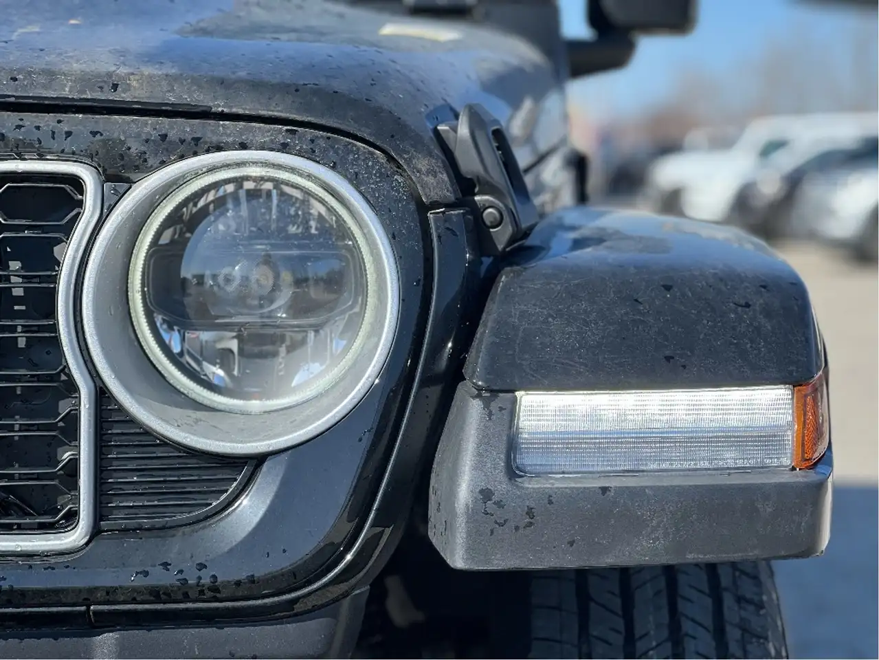 Jeep Wrangler снимка Jeep Wrangler