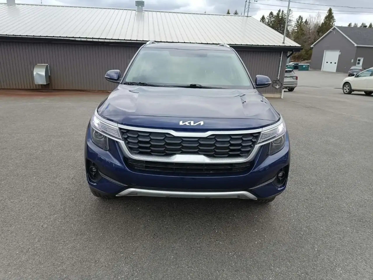 Kia Seltos fotografie Kia Seltos
