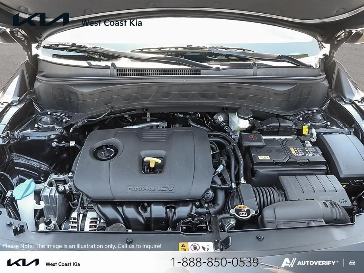 Kia Seltos fotografie Kia Seltos
