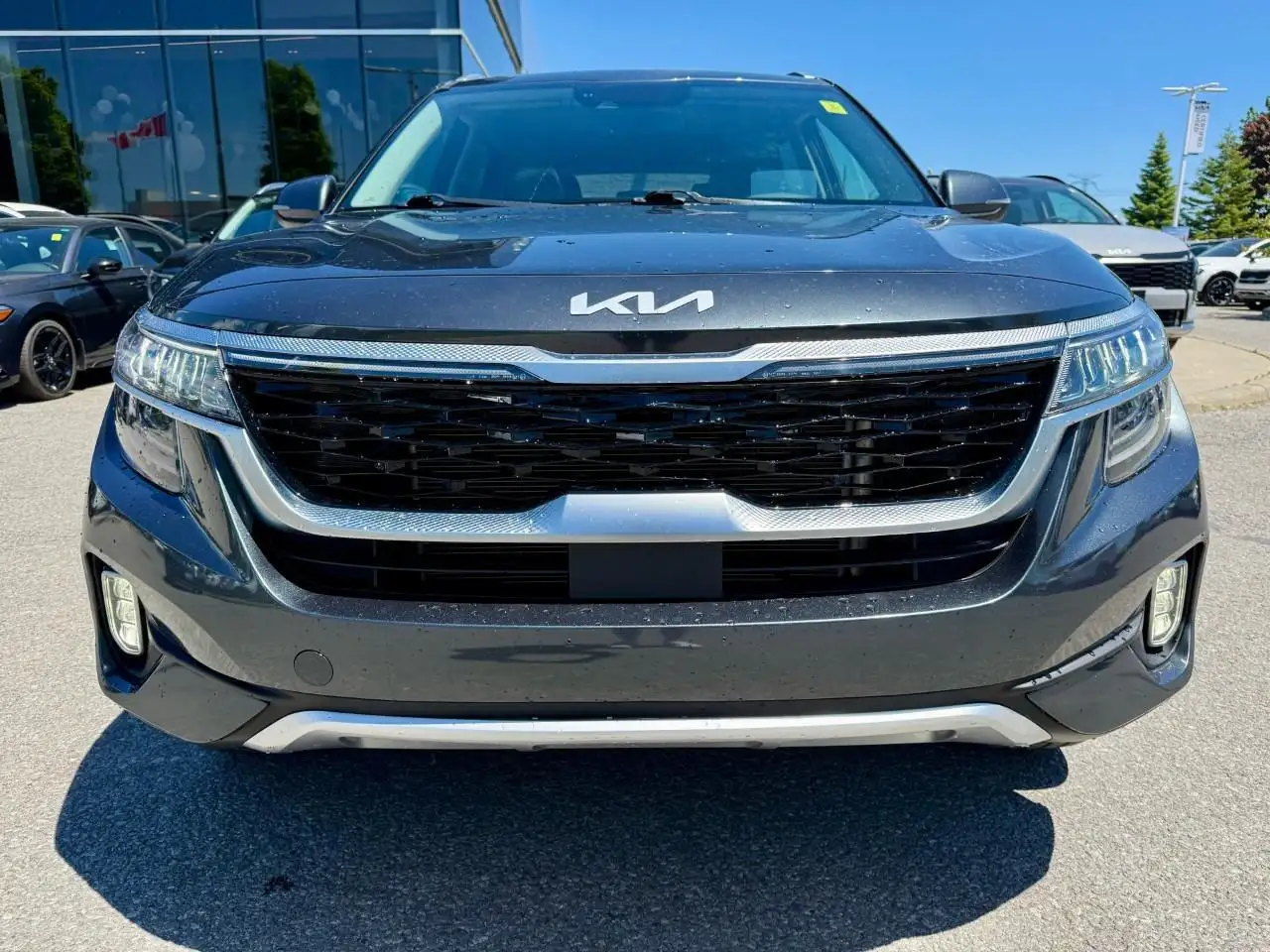 Kia Seltos fotografie Kia Seltos
