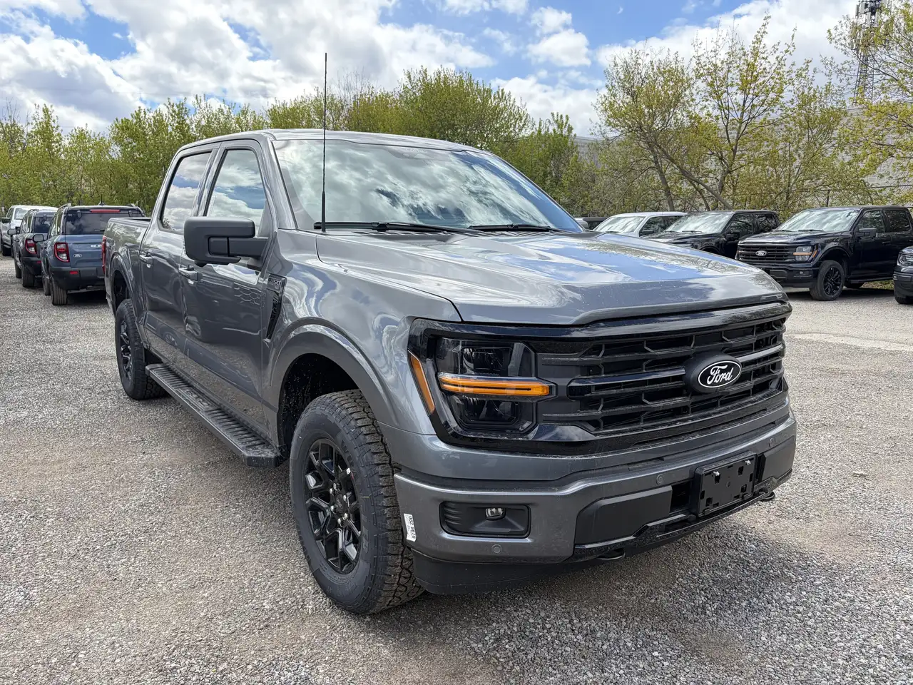 Ford F 150 снимка Ford F 150