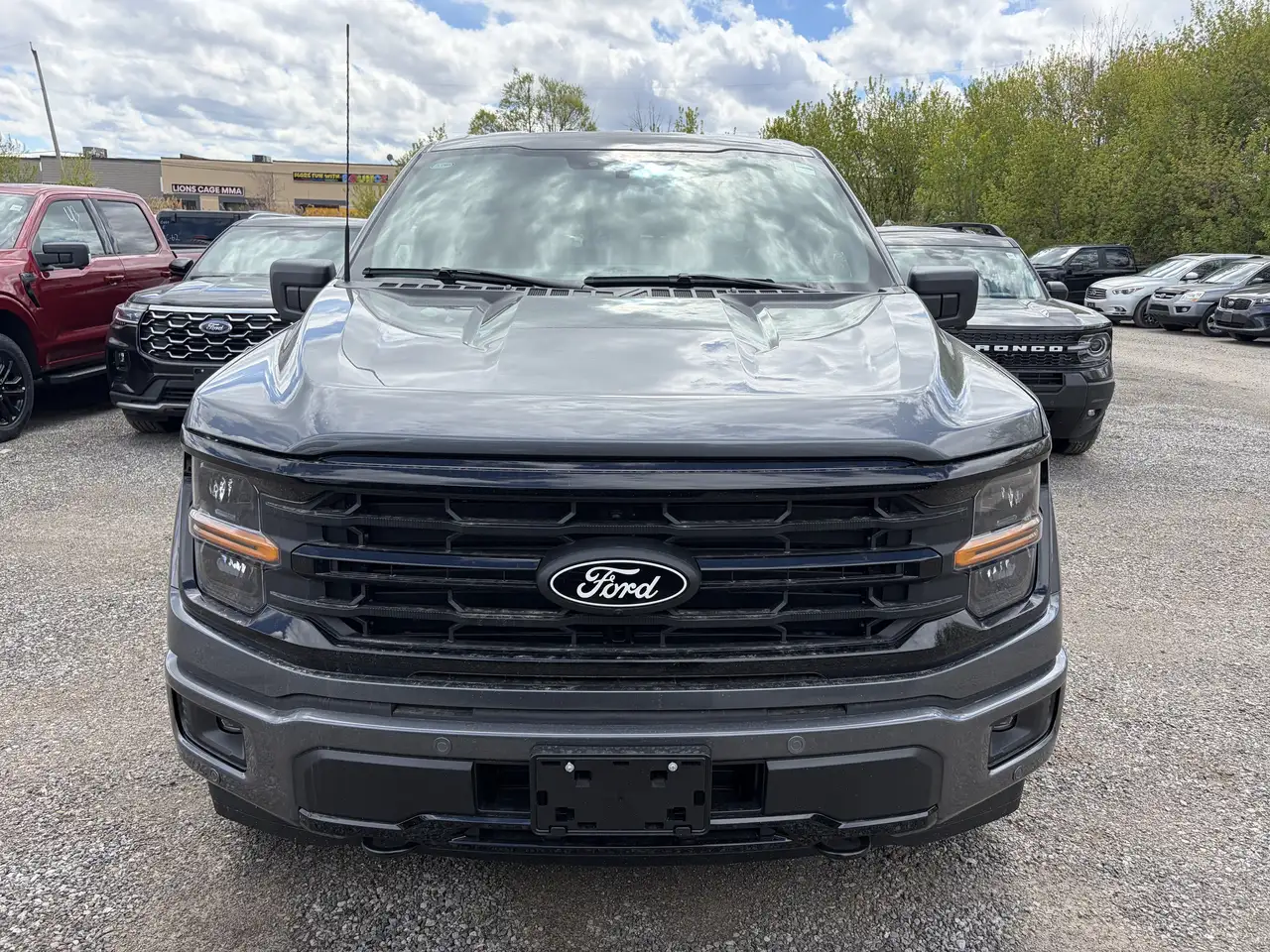 Ford F 150 снимка Ford F 150