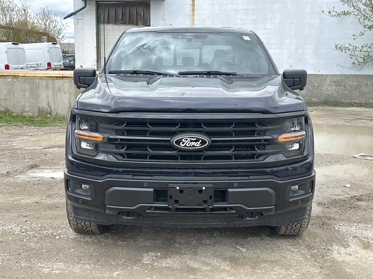 Ford F 150 снимка Ford F 150