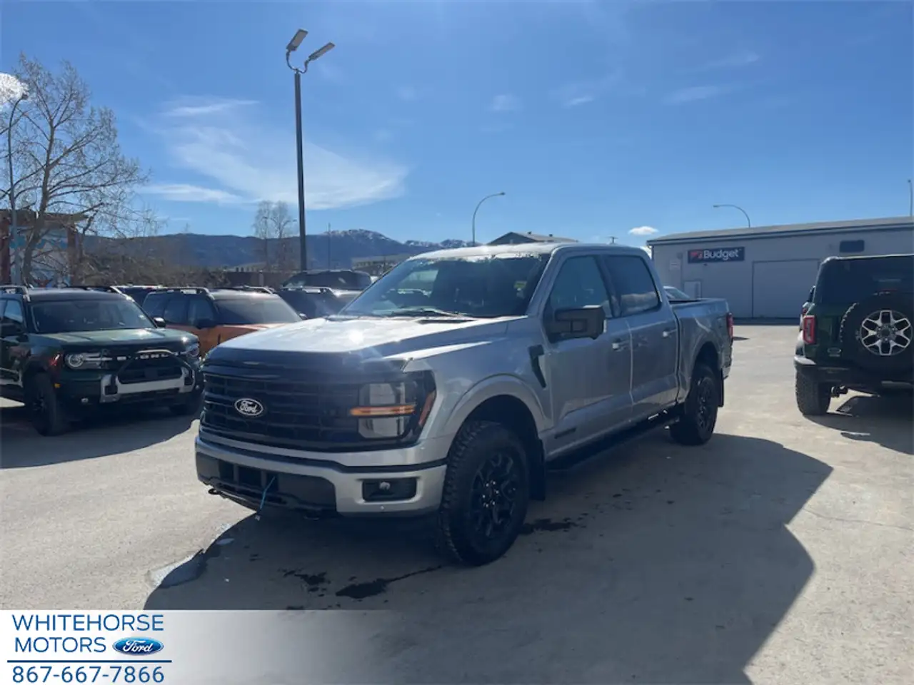 Ford F 150 fotografie Ford F 150