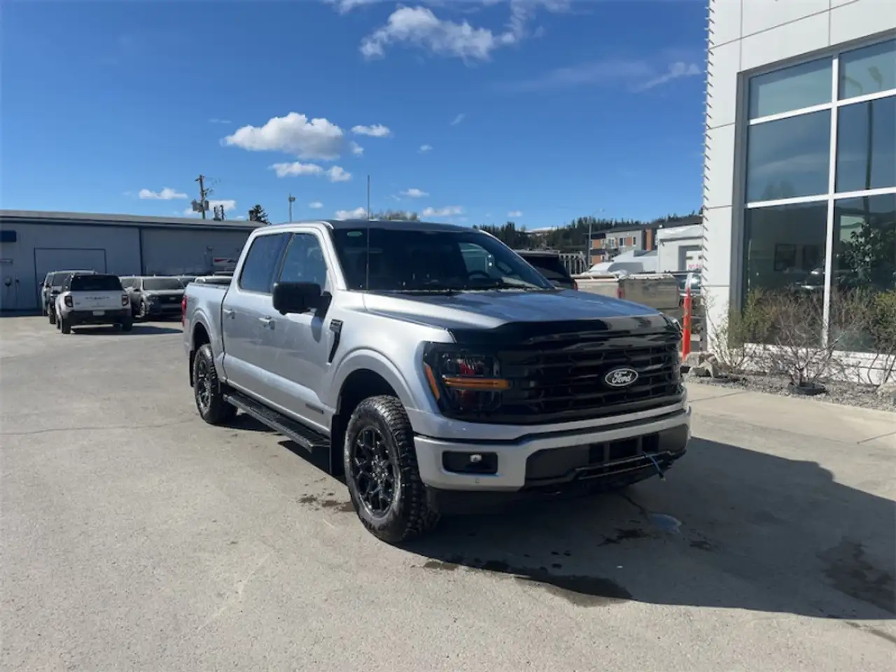 Ford F 150 fotografie Ford F 150
