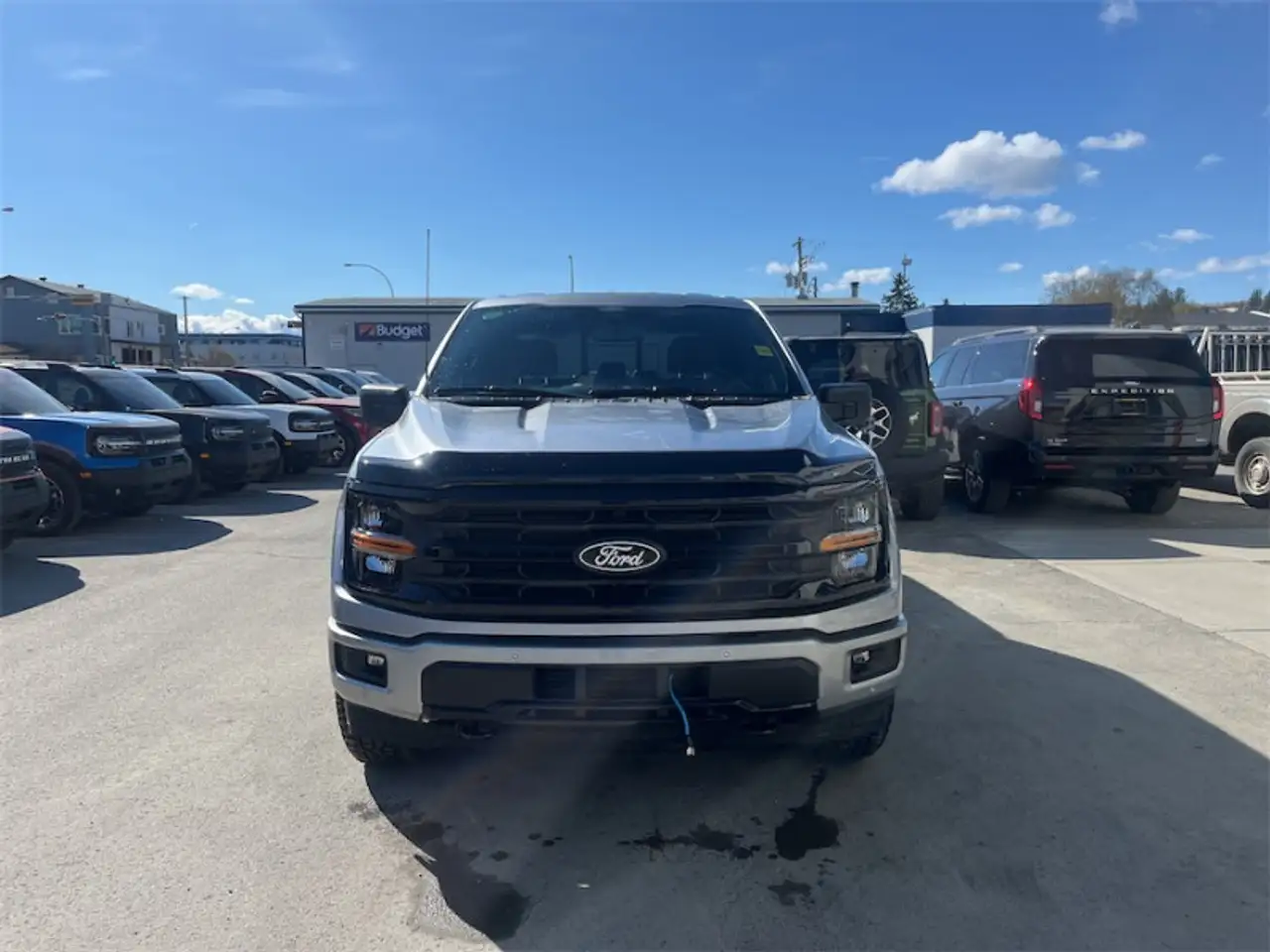 Ford F 150 fotografie Ford F 150