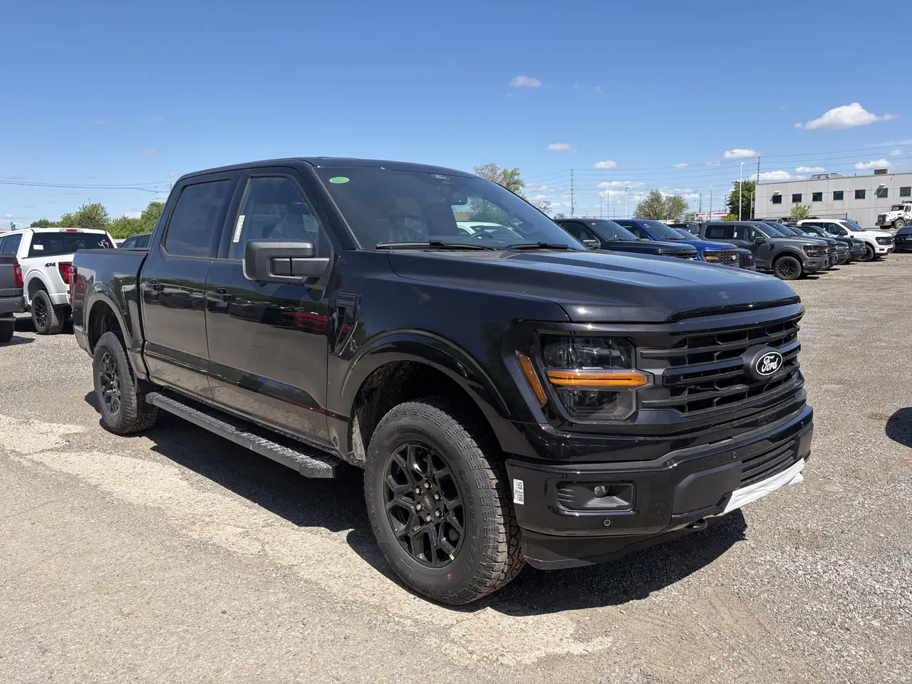 Ford F 150 fotografie Ford F 150