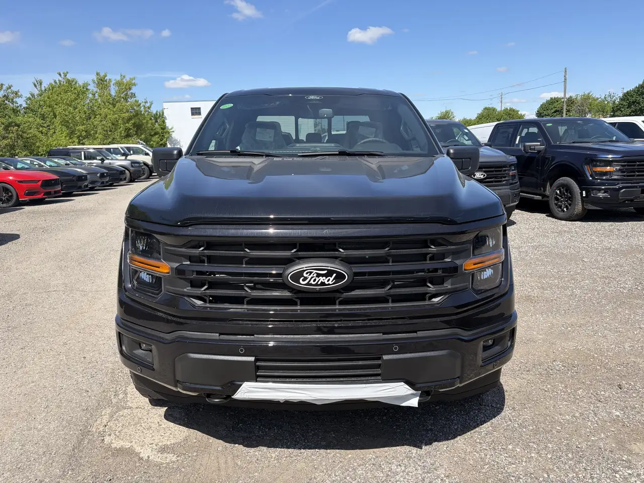 Ford F 150 fotografie Ford F 150