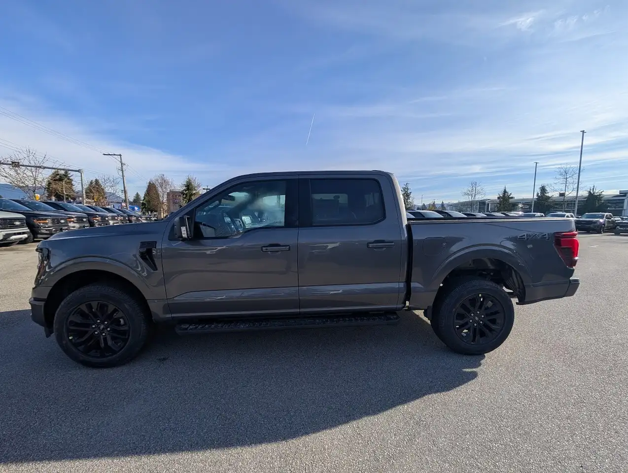 Ford F 150 снимка Ford F 150