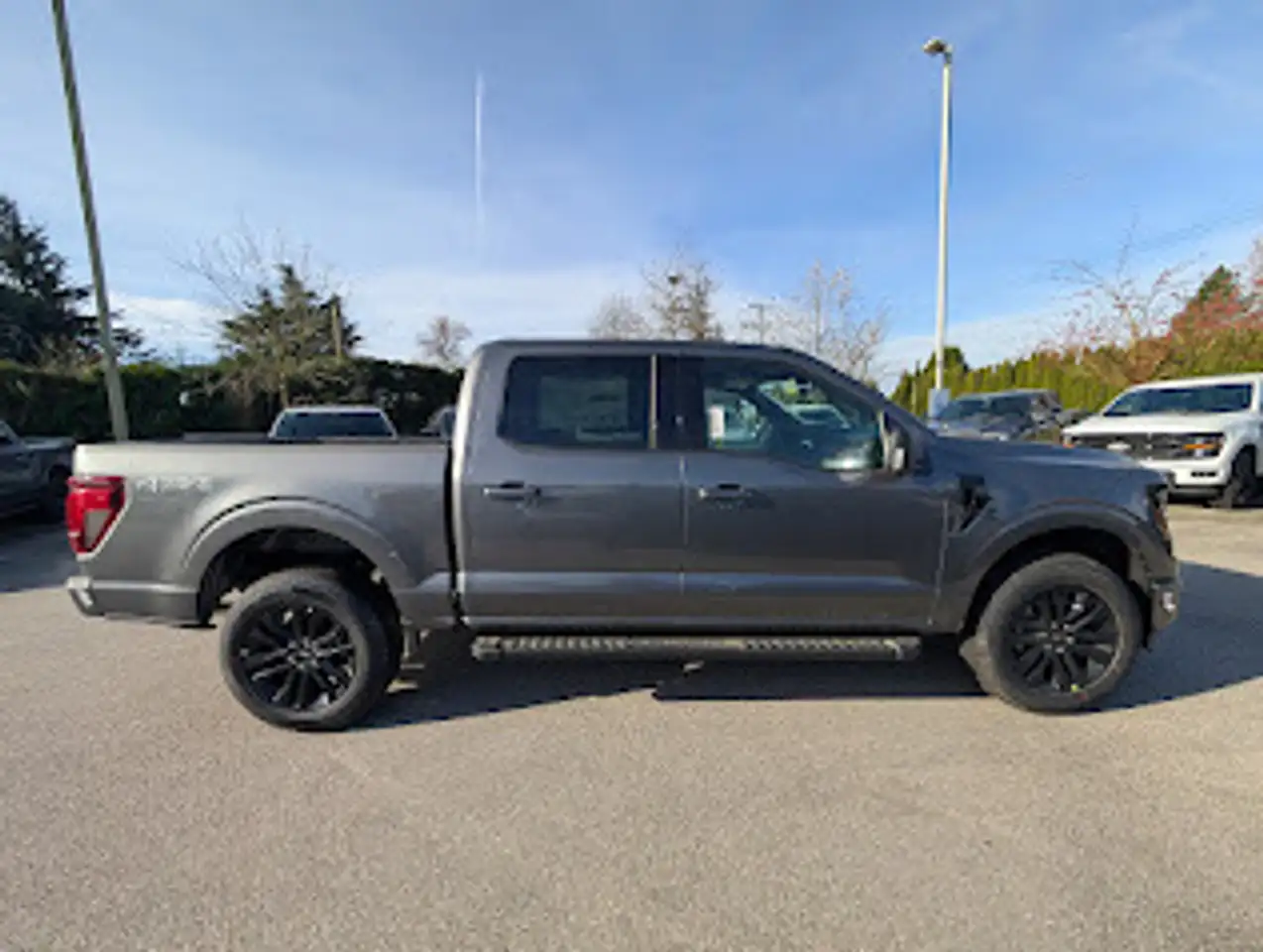 Ford F 150 снимка Ford F 150