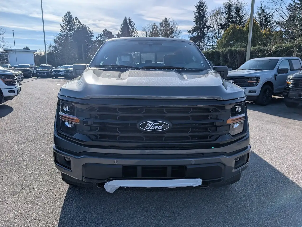 Ford F 150 снимка Ford F 150
