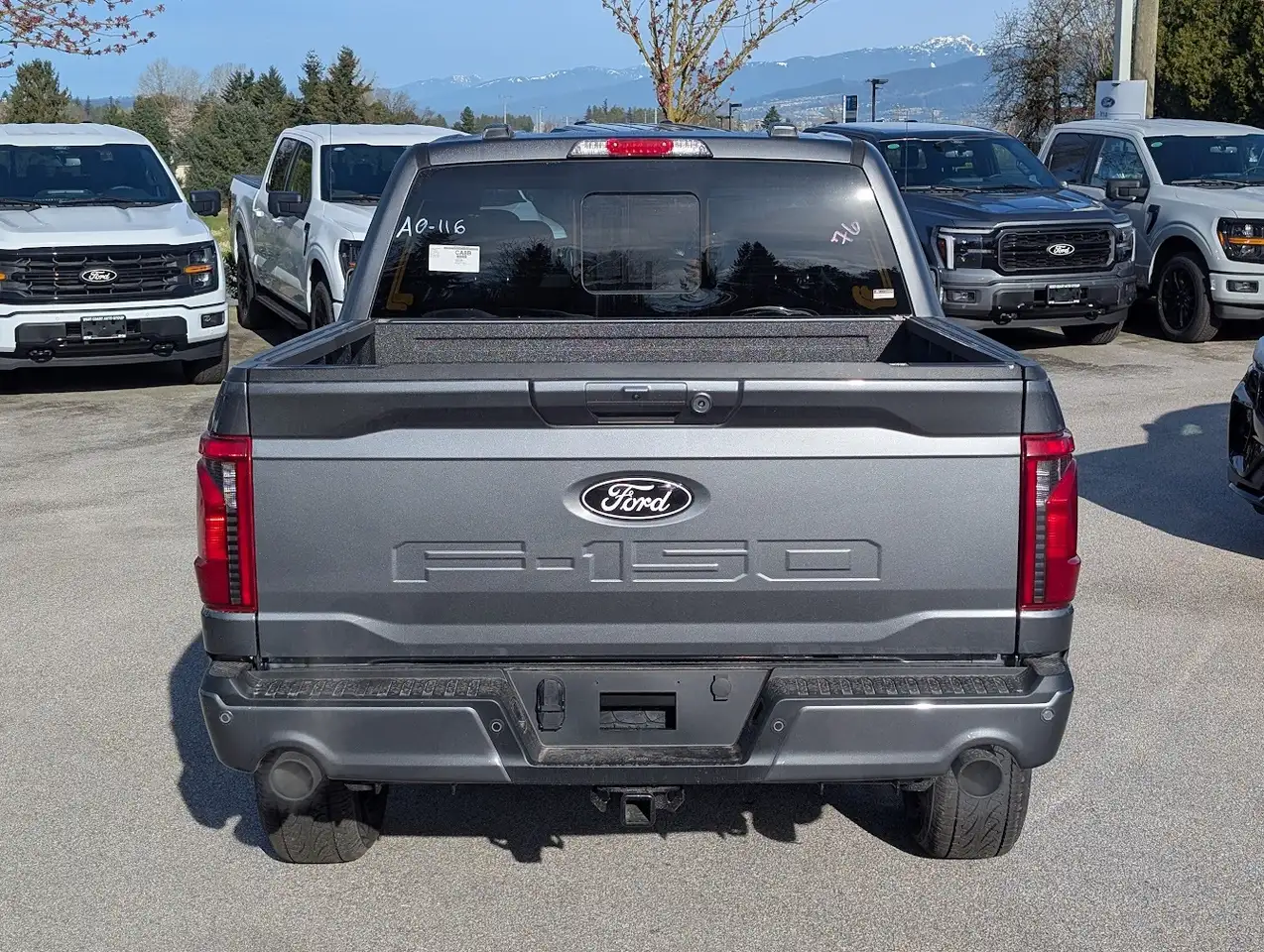 Ford F 150 снимка Ford F 150