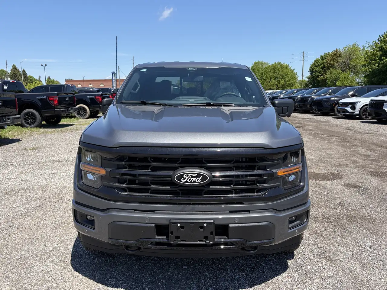 Ford F 150 снимка Ford F 150
